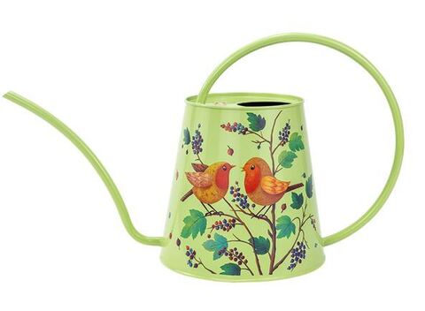 Лейка 2 литра Berry&Bird
