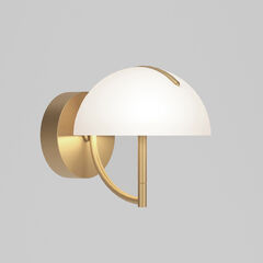 Настенный светодиодный светильник Eurosvet Emisfero 50083/1