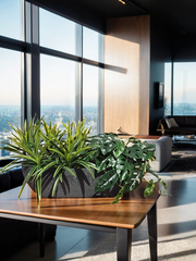 Искусственные зеленые растения 65см в длинном кашпо Лофт