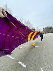 2 купола Pilot 168 2014 года