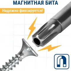 Бита отверточная ПРАКТИКА Профи Torx Tamper-30 х 50мм (2шт) (776-485)