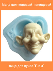 0237-С Молд силиконовый непищевой 