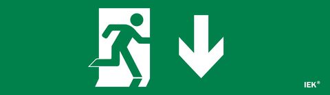 Этикетка самокл. 310х90мм 