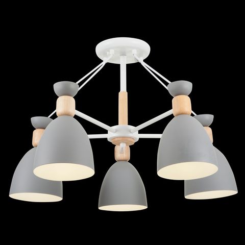 Потолочный светильник Freya Delia FR5033CL-05W