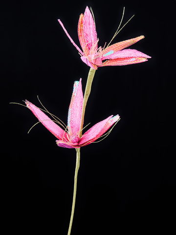 Веточка с цветами полифилла 61см ChristmasDeLuxe розовая