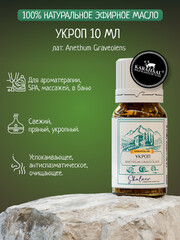 Новинки