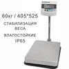 Весы товарные напольные CAS BW-60RB, RS232, 60кг, 20гр, 405x525, Влагозащита IP65, с поверкой, съемная стойка