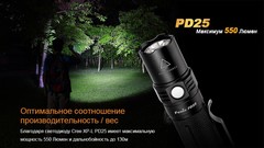 Карманный фонарик Fenix PD25 Черный