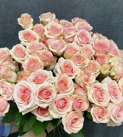 Монобукет Роза кустовая