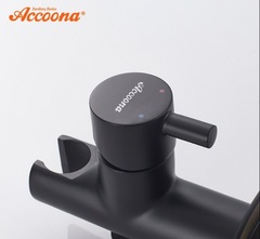 Встраиваемый смеситель с гигиеническим душем Accoona A3290F-3