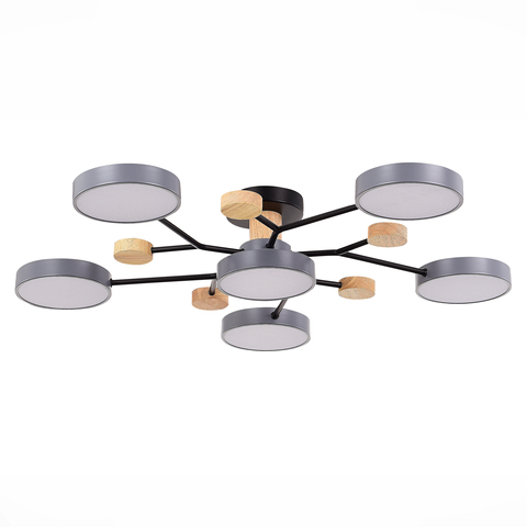 Светильник потолочный Evoluce Faema SLE6006-702-06