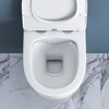BelBagno BB901SC Сиденье с металлическими креплениями, быстросъемное, системой Soft close BB901SC 335x458x50