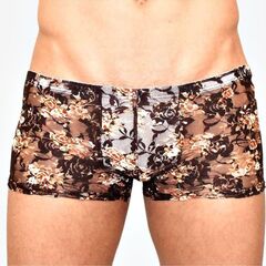 Мужские сетчатые боксеры с бежевыми розами Rose Boxer - 