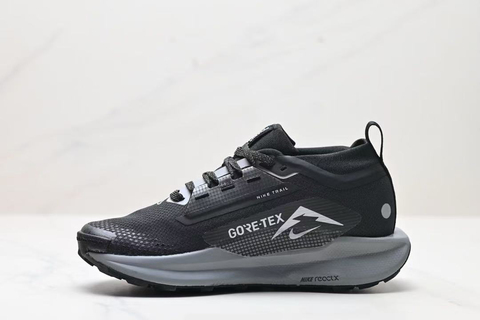 Nike Pegasus Trail 5 GORE TEX 'Black Wolf Grey' 