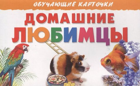 ЛИТУР ОбучКарточ Домашние любимцы