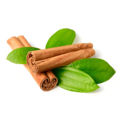 CdS. Корица цейлонская - листья (Cinnamon Bark) – 10 ml