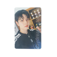 Фотокарта Seungmin Stray Kids - KARMA SKZOO Ver. [Soundwave]