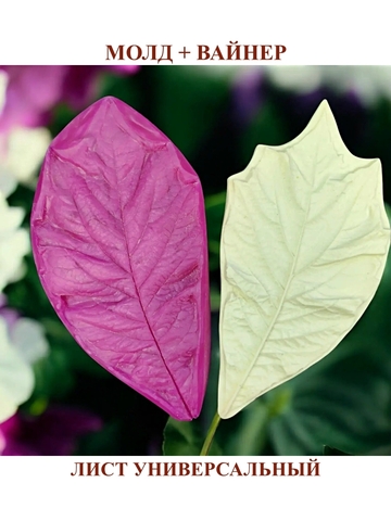 Молд+Вайнер 