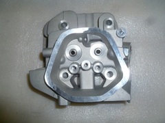 Головка цилиндра в сборе (втулки и седла) SGG5000/Head comp, cylinder