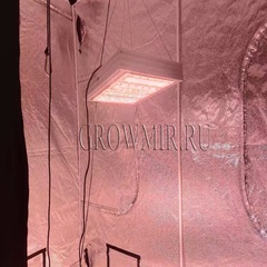 Светильник Crazy Green 720W+Len-SI (770 ват) с регулятором мощности