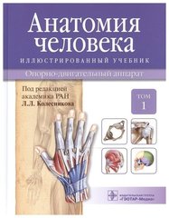 Анатомия человека : иллюстрированный учебник : в 3 т. : Т. 1. Опорно-двигательный аппарат