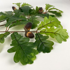 Дуб зеленые листья на ветке, с желудями, искусственная зелень, ветка 60 см, набор 2 шт