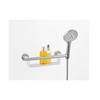 Hansgrohe 26328400 Поручень для душевой