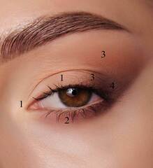 LuxVisage Тени Glam Look 4-х цветные матовые тон 1 молочный шоколад