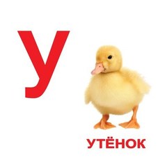 Вундеркинд с пеленок. Набор обучающих карточек"Алфавит"