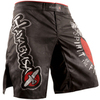 Шорты Hayabusa Spirit Of The Fighter