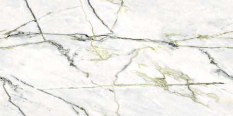 Neodom Sale Calacatta Green Polished 60x120