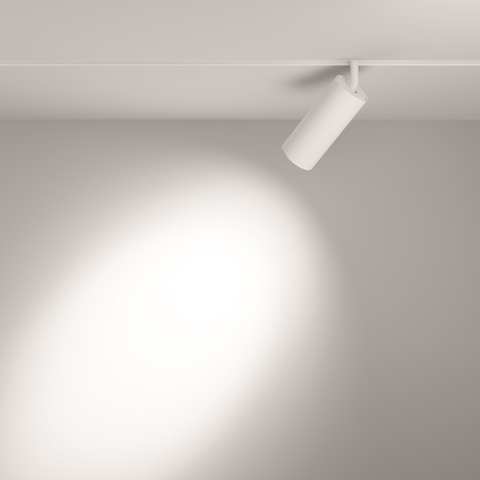 Магнитный трековый светильник Maytoni Focus LED TR032-2-20W3K-S-W