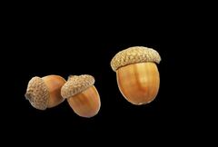 Силиконовый молд 