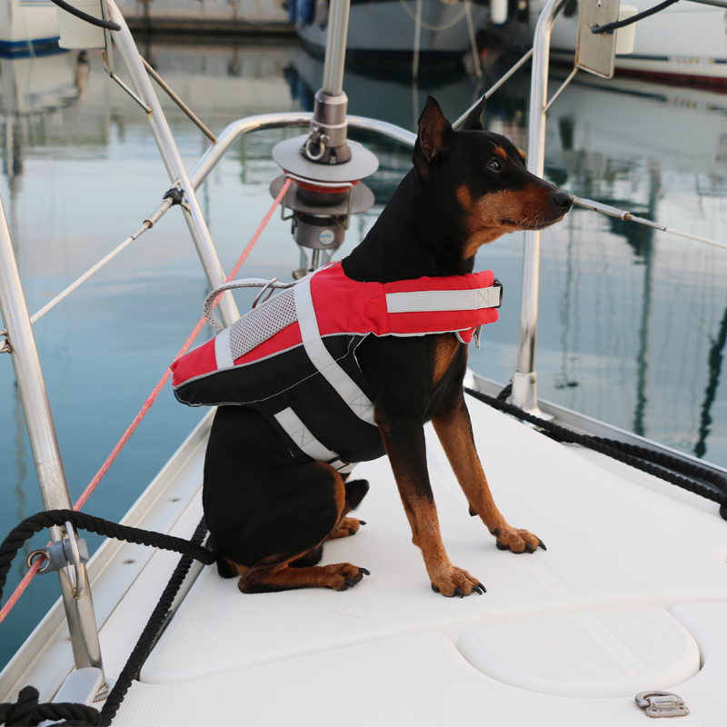 Lalizas comfy pet lifejacket