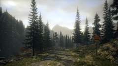 Alan Wake (для ПК, цифровой код доступа)