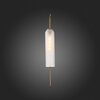 Светильник настенный ST Luce Callana SL1145.351.01