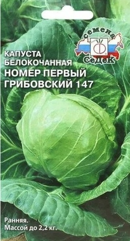 Семена Капуста белокочанная Грибовский 147, ранняя, 0,5 гр