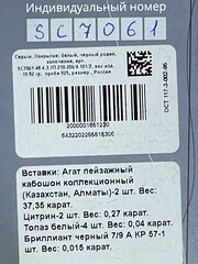 Агат пейзаж  (серьги из серебра)