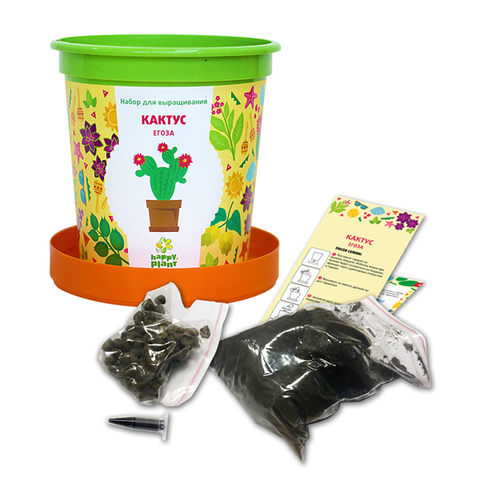 Набор для выращивания в горшочках Happy Plant Кактус Егоза