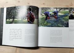 Provence culinary travels