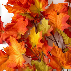 №2 Кленовые листья на ветке Желто-оранжево-зеленые, осенние, 70 см., набор 2 ветки