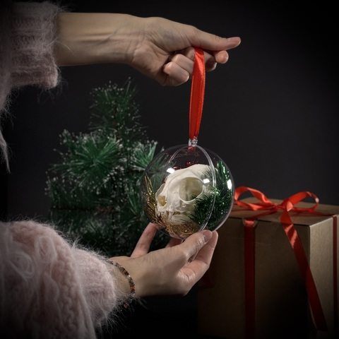 Ёлочный шар