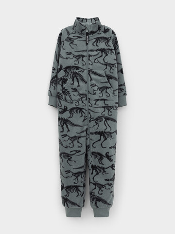 комбинезон  для мальчика  ФЛ 60005/н/10 ГР