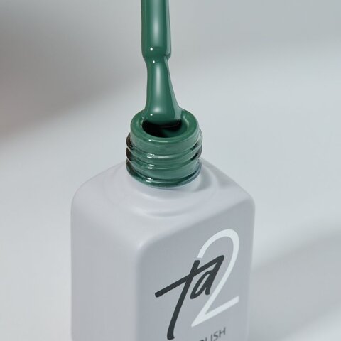 Гель-лак Ta2 / цветной гель-лак №048