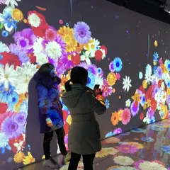 Иммерсивная интерактивная комната с проекцией на стену и пол