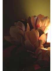 Молд пластиковый лепесток магнолии (14,5х7см)