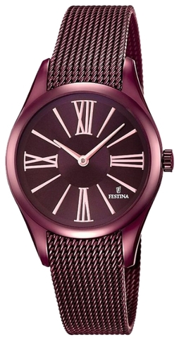 Наручные часы Festina F16964/1 фото