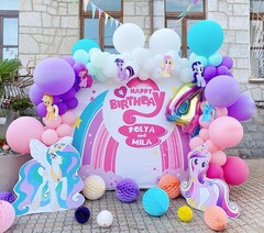 Фотозона "My Little Pony"