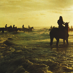 Foals / Holy Fire (LP)