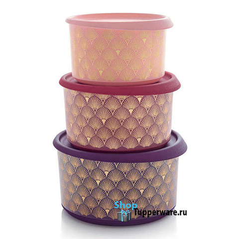 Контейнеры Гэтсби Tupperware